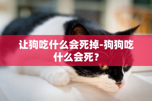 讓狗吃什么會死掉-狗狗吃什么會死？