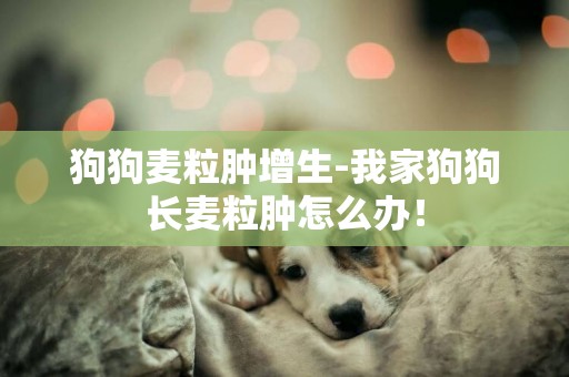 狗狗麥粒腫增生-我家狗狗長麥粒腫怎么辦！