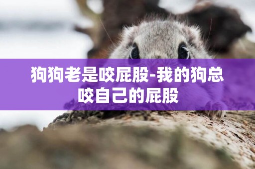 狗狗老是咬屁股-我的狗總咬自己的屁股