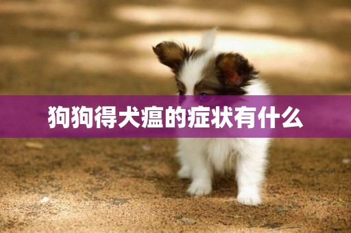 狗狗得犬瘟的癥狀有什么
