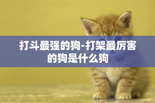 打斗最強的狗-打架最厲害的狗是什么狗