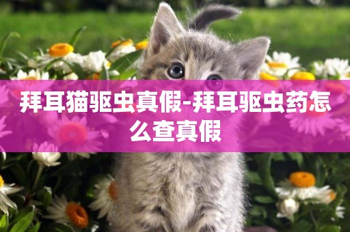 拜耳貓驅蟲真假-拜耳驅蟲藥怎么查真假