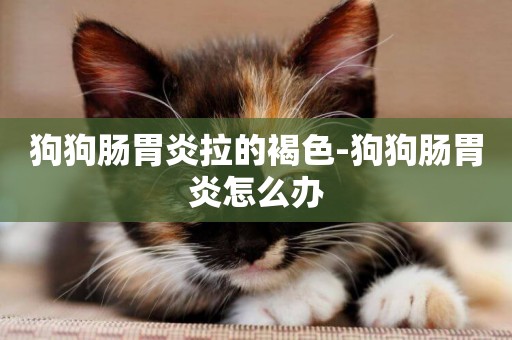狗狗腸胃炎拉的褐色-狗狗腸胃炎怎么辦