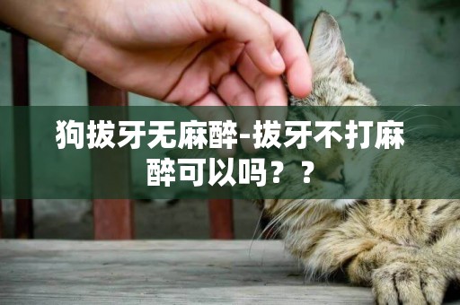 狗拔牙無麻醉-拔牙不打麻醉可以嗎？？