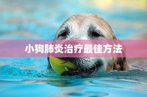 小狗肺炎治療最佳方法