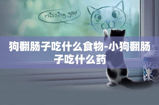 狗翻腸子吃什么食物-小狗翻腸子吃什么藥