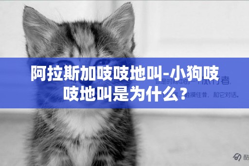 阿拉斯加吱吱地叫-小狗吱吱地叫是為什么？