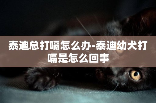 泰迪總打嗝怎么辦-泰迪幼犬打嗝是怎么回事