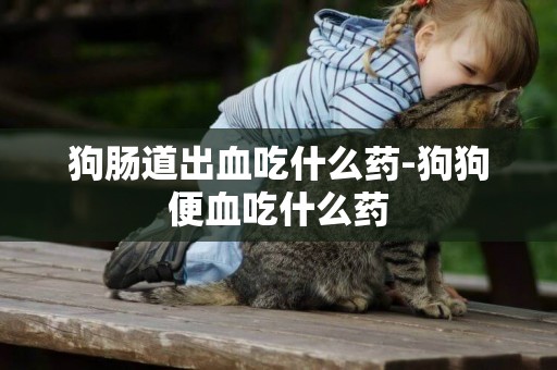 狗腸道出血吃什么藥-狗狗便血吃什么藥