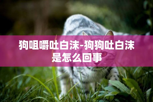 狗咀嚼吐白沫-狗狗吐白沫是怎么回事