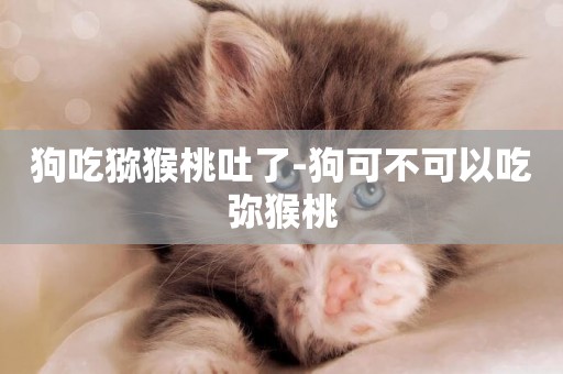 狗吃獼猴桃吐了-狗可不可以吃彌猴桃