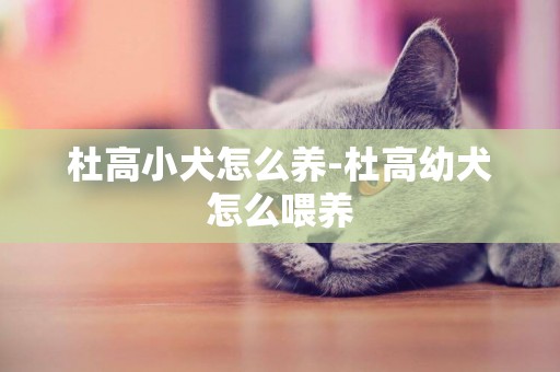 杜高小犬怎么養-杜高幼犬怎么喂養