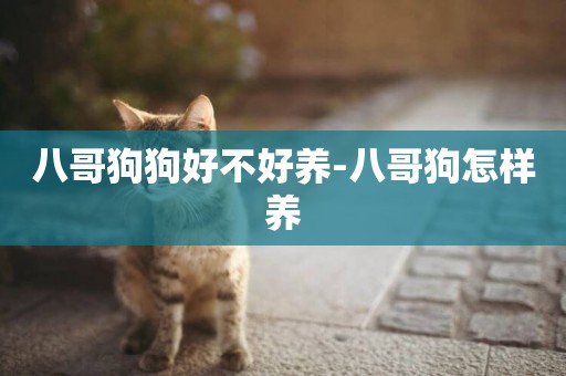 八哥狗狗好不好養-八哥狗怎樣養