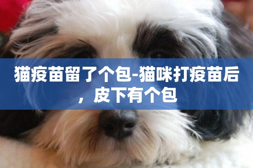 貓疫苗留了個包-貓咪打疫苗后，皮下有個包