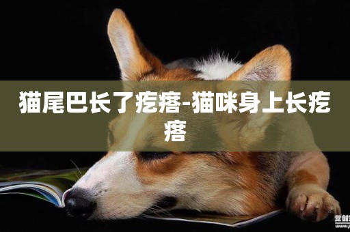 貓尾巴長了疙瘩-貓咪身上長疙瘩