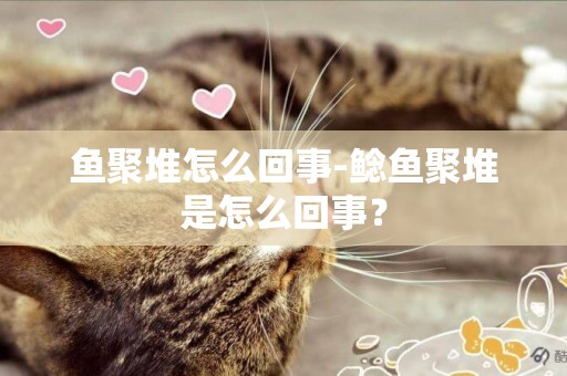 魚聚堆怎么回事-鯰魚聚堆是怎么回事？