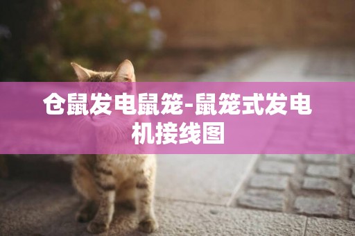 倉鼠發電鼠籠-鼠籠式發電機接線圖