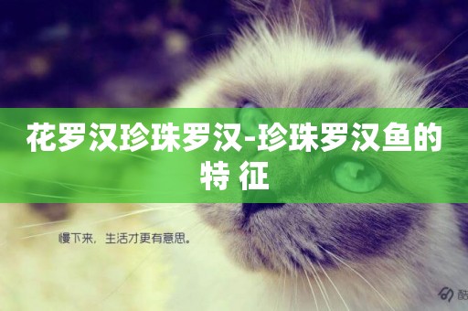 花羅漢珍珠羅漢-珍珠羅漢魚的特 征