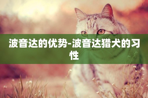 波音達的優勢-波音達獵犬的習性
