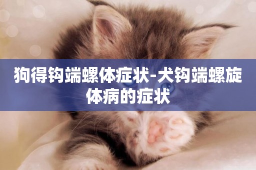 狗得鉤端螺體癥狀-犬鉤端螺旋體病的癥狀