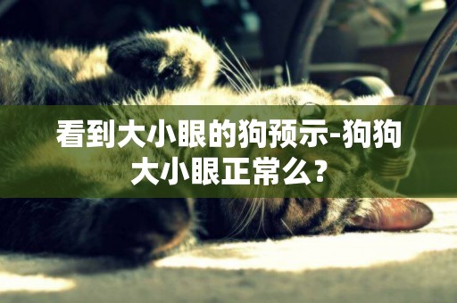 看到大小眼的狗預示-狗狗大小眼正常么？