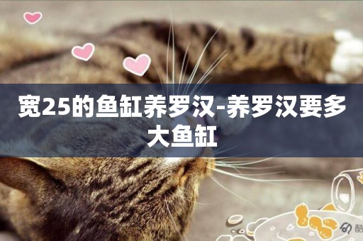 寬25的魚缸養羅漢-養羅漢要多大魚缸