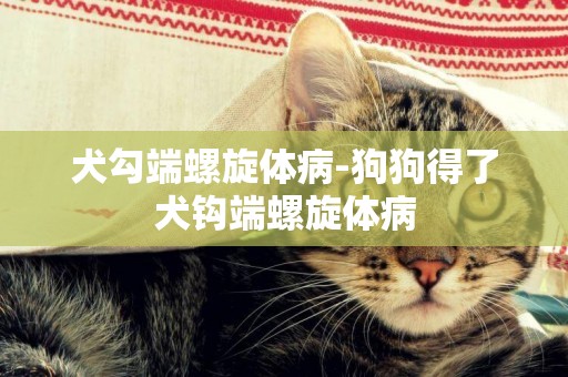 犬勾端螺旋體病-狗狗得了犬鉤端螺旋體病