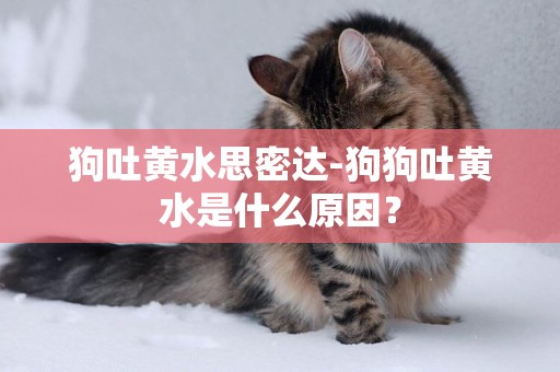 狗吐黃水思密達-狗狗吐黃水是什么原因？