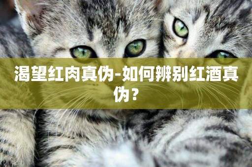 渴望紅肉真偽-如何辨別紅酒真偽？