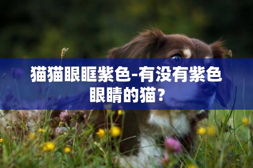 貓貓眼眶紫色-有沒有紫色眼睛的貓？