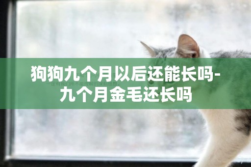 狗狗九個月以后還能長嗎-九個月金毛還長嗎