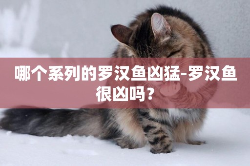 哪個系列的羅漢魚兇猛-羅漢魚很兇嗎？