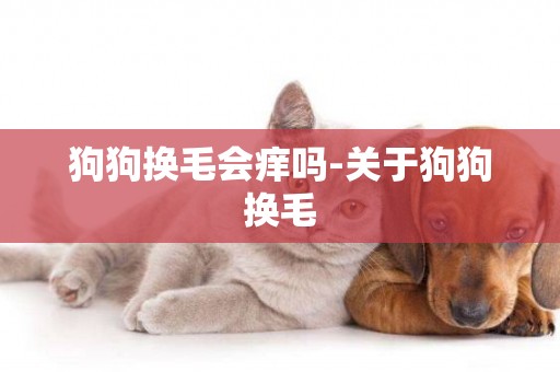 狗狗換毛會癢嗎-關于狗狗換毛