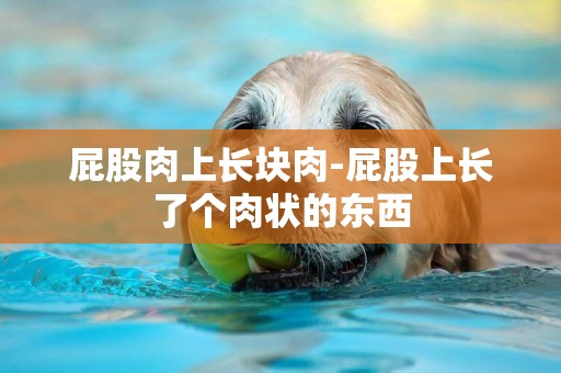屁股肉上長塊肉-屁股上長了個肉狀的東西