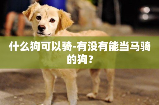 什么狗可以騎-有沒有能當馬騎的狗？