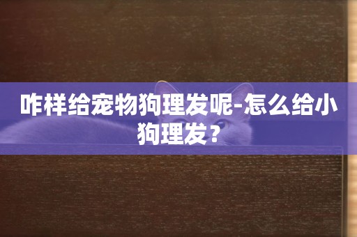 咋樣給寵物狗理發呢-怎么給小狗理發？