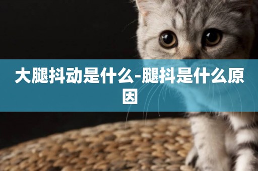 大腿抖動是什么-腿抖是什么原因