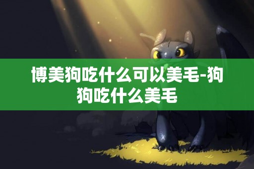博美狗吃什么可以美毛-狗狗吃什么美毛