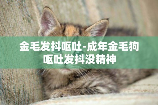 金毛發抖嘔吐-成年金毛狗嘔吐發抖沒精神