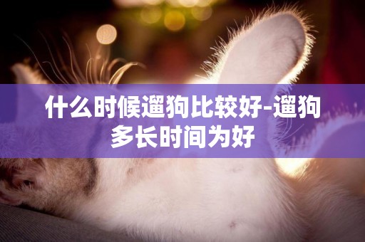 什么時候遛狗比較好-遛狗多長時間為好