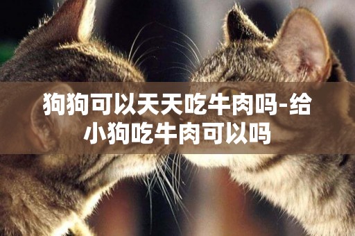 狗狗可以天天吃牛肉嗎-給小狗吃牛肉可以嗎