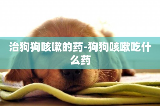 治狗狗咳嗽的藥-狗狗咳嗽吃什么藥