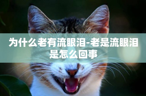 為什么老有流眼淚-老是流眼淚是怎么回事
