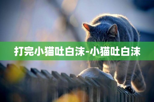 打完小貓吐白沫-小貓吐白沫