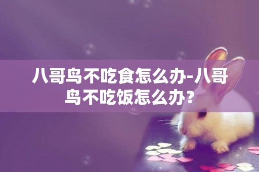 八哥鳥不吃食怎么辦-八哥鳥不吃飯怎么辦？