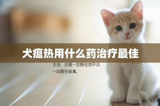犬瘟熱用什么藥治療最佳