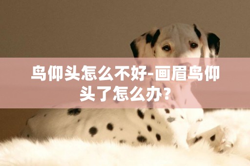 鳥仰頭怎么不好-畫眉鳥仰頭了怎么辦？