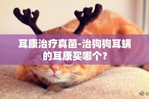 耳康治療真菌-治狗狗耳螨的耳康買哪個？