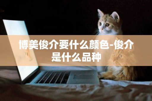 博美俊介要什么顏色-俊介是什么品種