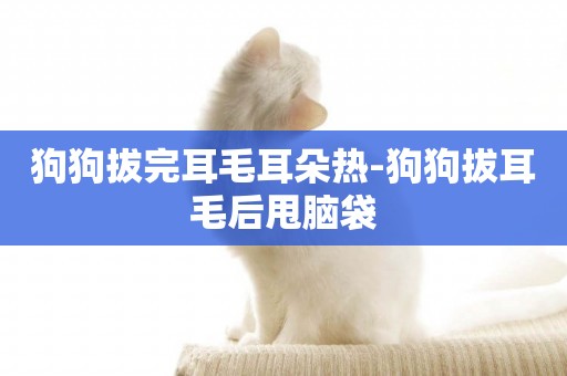 狗狗拔完耳毛耳朵熱-狗狗拔耳毛后甩腦袋